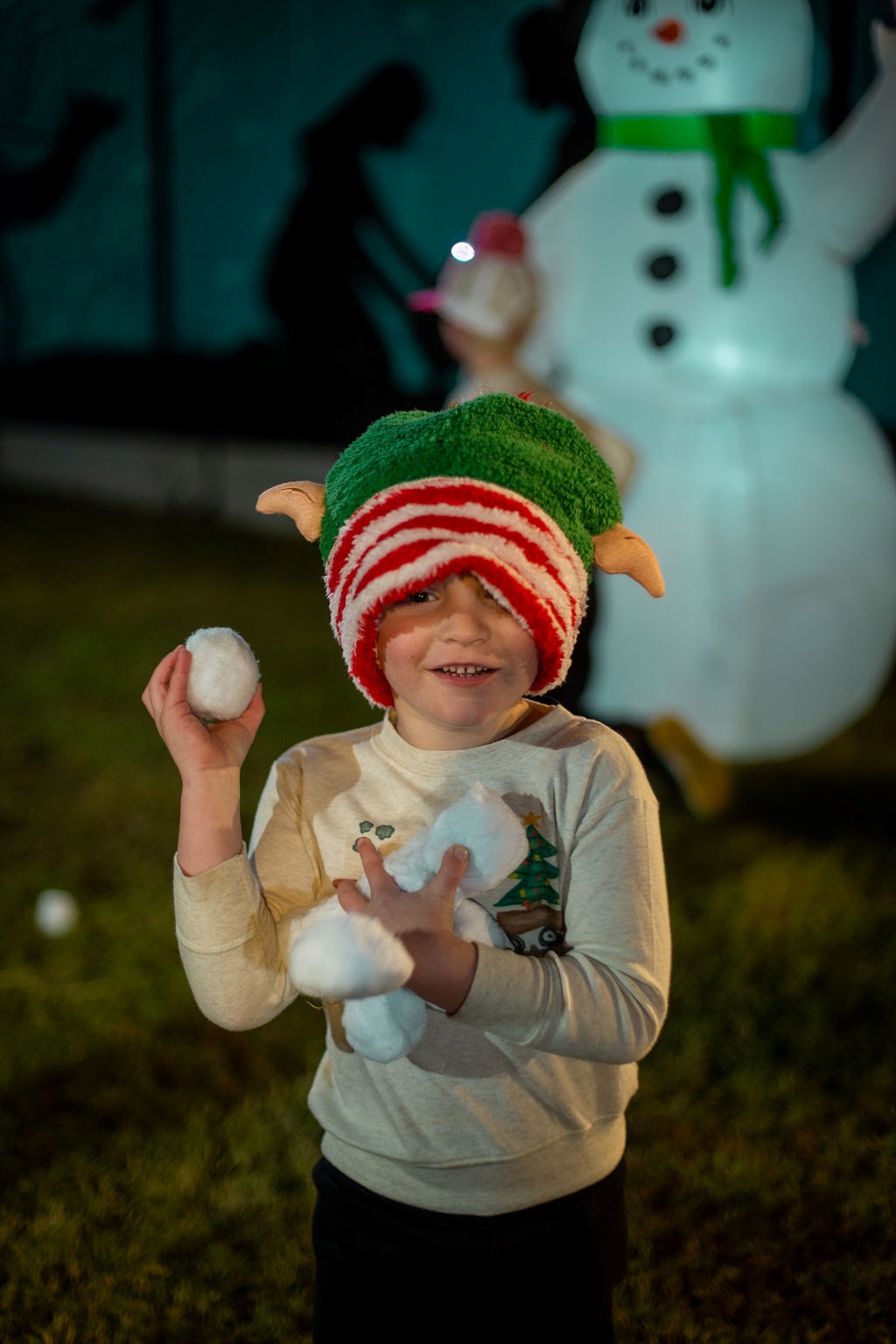 Southern Lights at The Gardens of Southeastern North Carolina opens this weekend